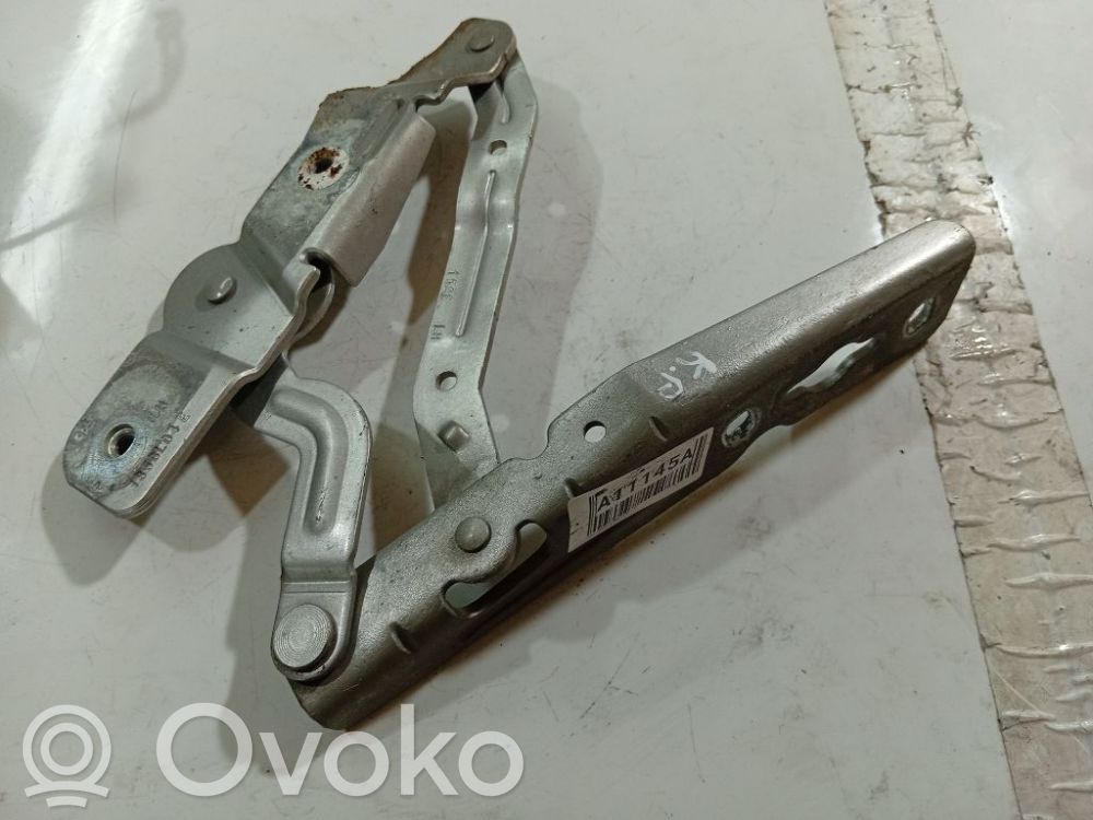 Cerniere del vano motore/cofano   AM5116801AG,AM5116801AG,AM5116801AG