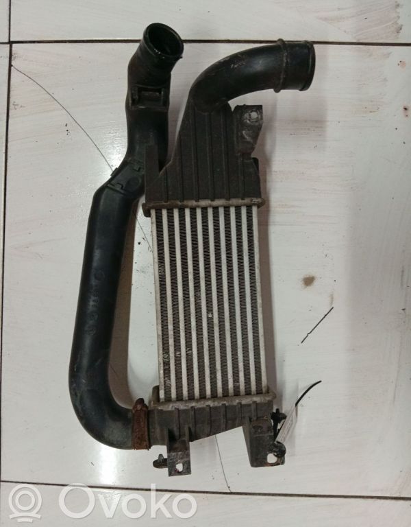 Chłodnica powietrza doładowującego / Intercooler   DWTP7883U28425060,0965B,13128926,5294,DWTP7883U28425060