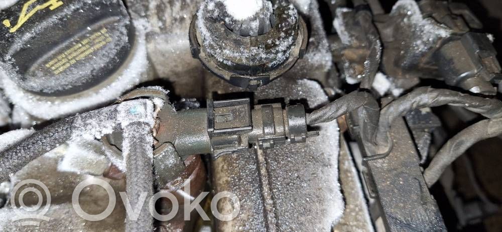 Injektor Einspritzdüse   0445110256,0445110256