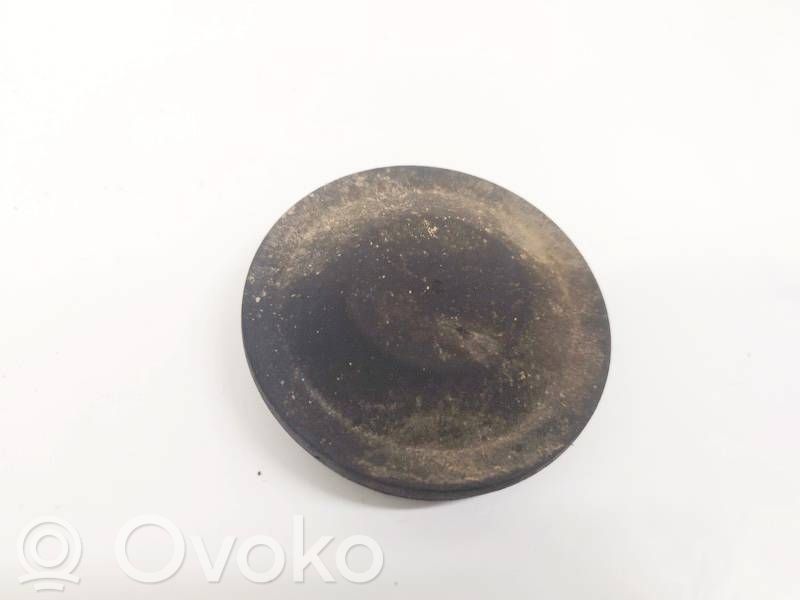 Deckel Abdeckung Scheinwerfer   205079C2,205079C2,205079C2