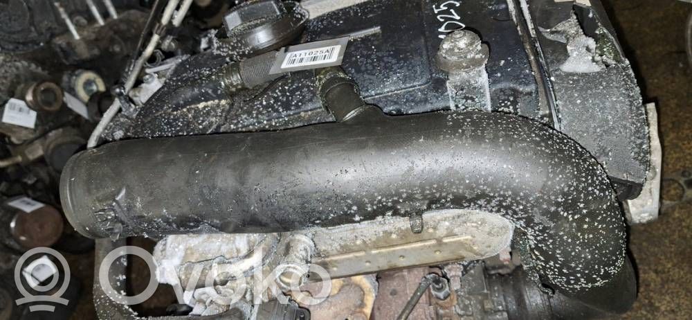 Audi A3 S3 8P Tubo flessibile intercooler