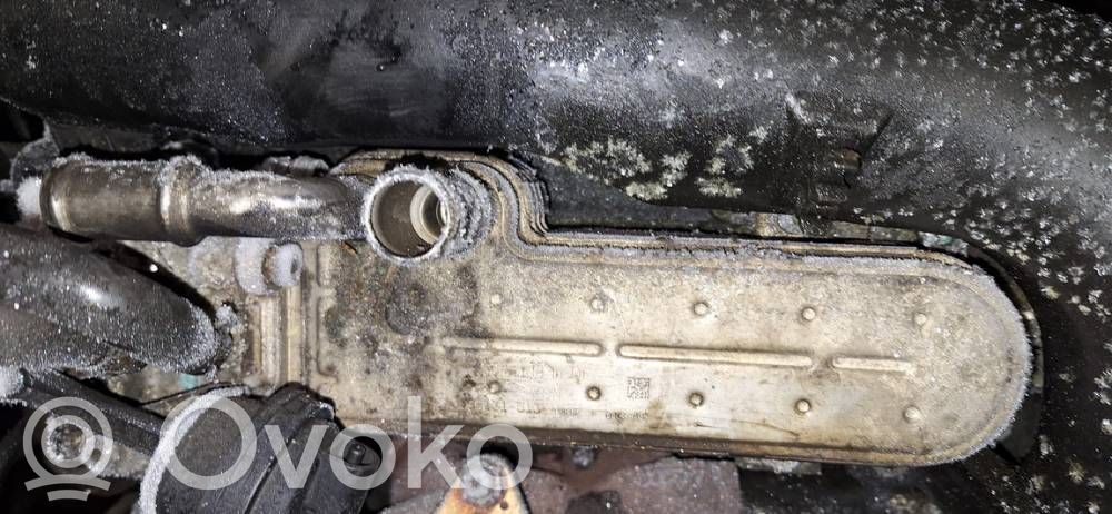 Audi A3 S3 8P Valvola di raffreddamento EGR 