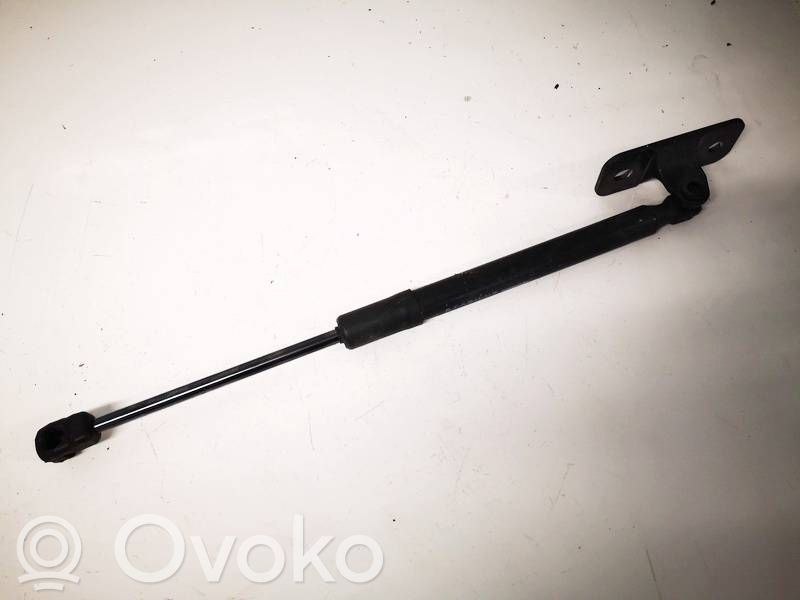 Tesla Model 3 Ammortizzatore portellone posteriore/bagagliaio