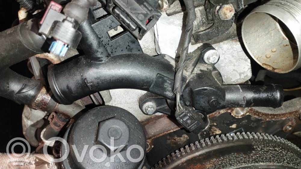 Opel Astra J Variklio aušinimo vamzdelis (-ai)/ žarna (-os) 