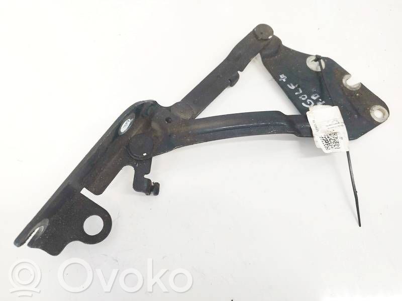 Volkswagen Golf Plus Cerniere del vano motore/cofano 