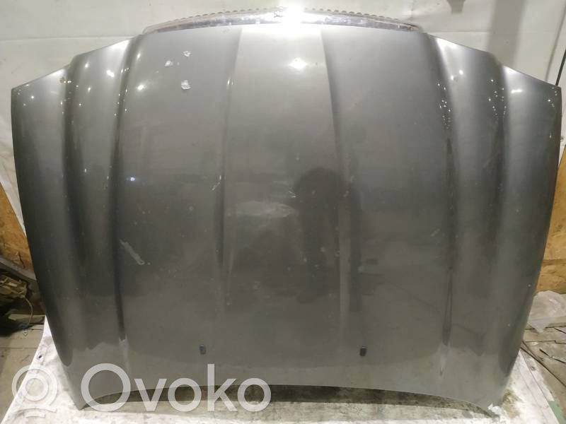 Motorhaube   PILKAS,PILKAS