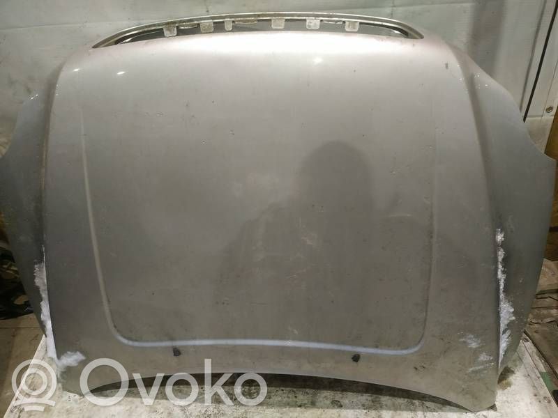Motorhaube   PILKAS,PILKAS