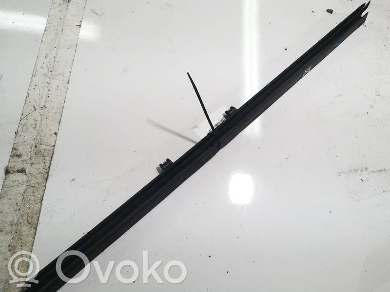 Other front door trim element