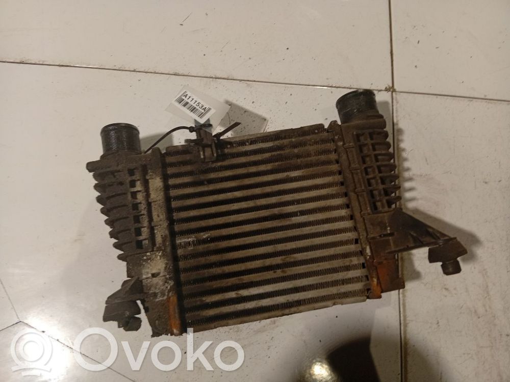 Radiator intercooler