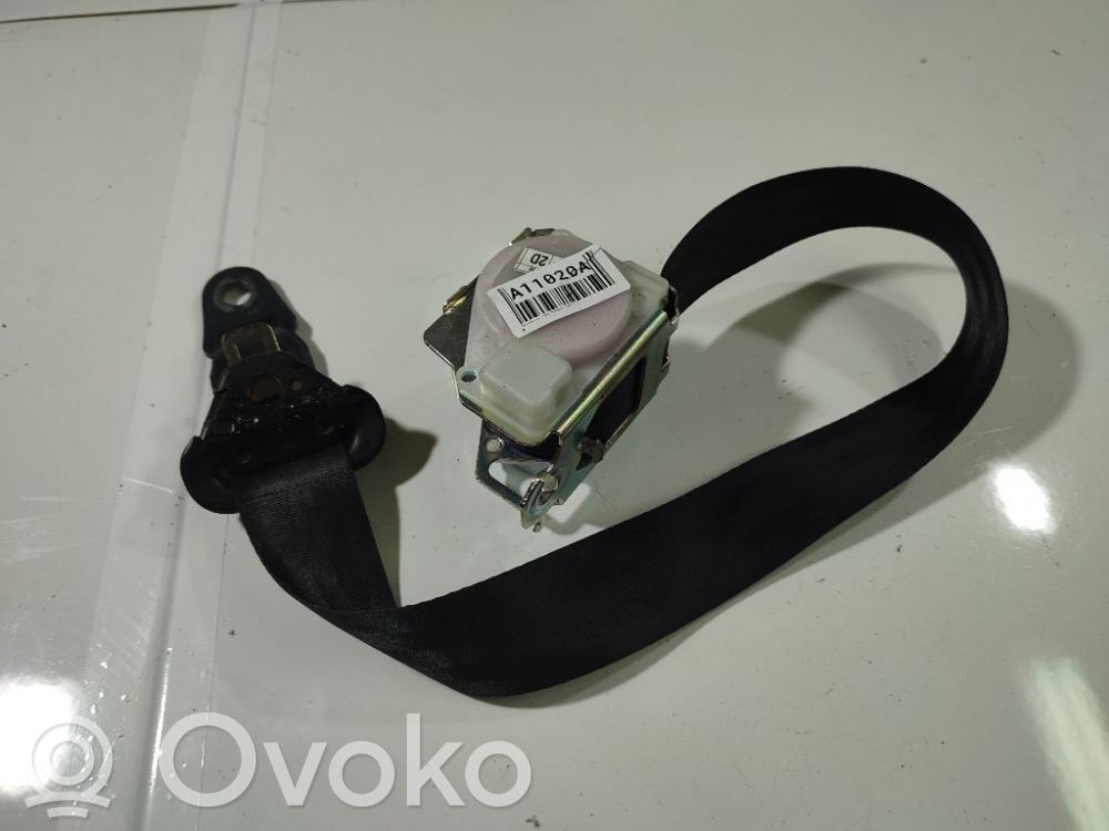 Cinturón delantero   040731,040731,A045014
