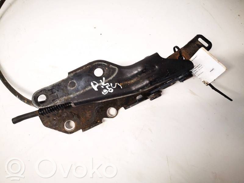 Bisagras del capó/tapa del motor