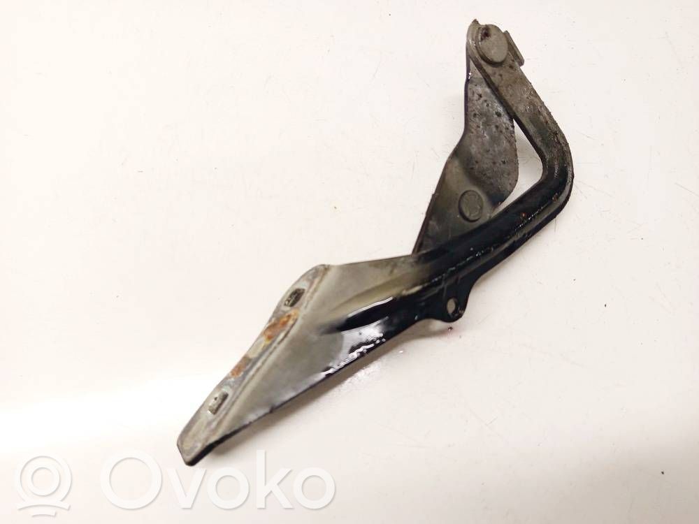 Ford Focus Dzinēja pārsega eņģe (-es) 