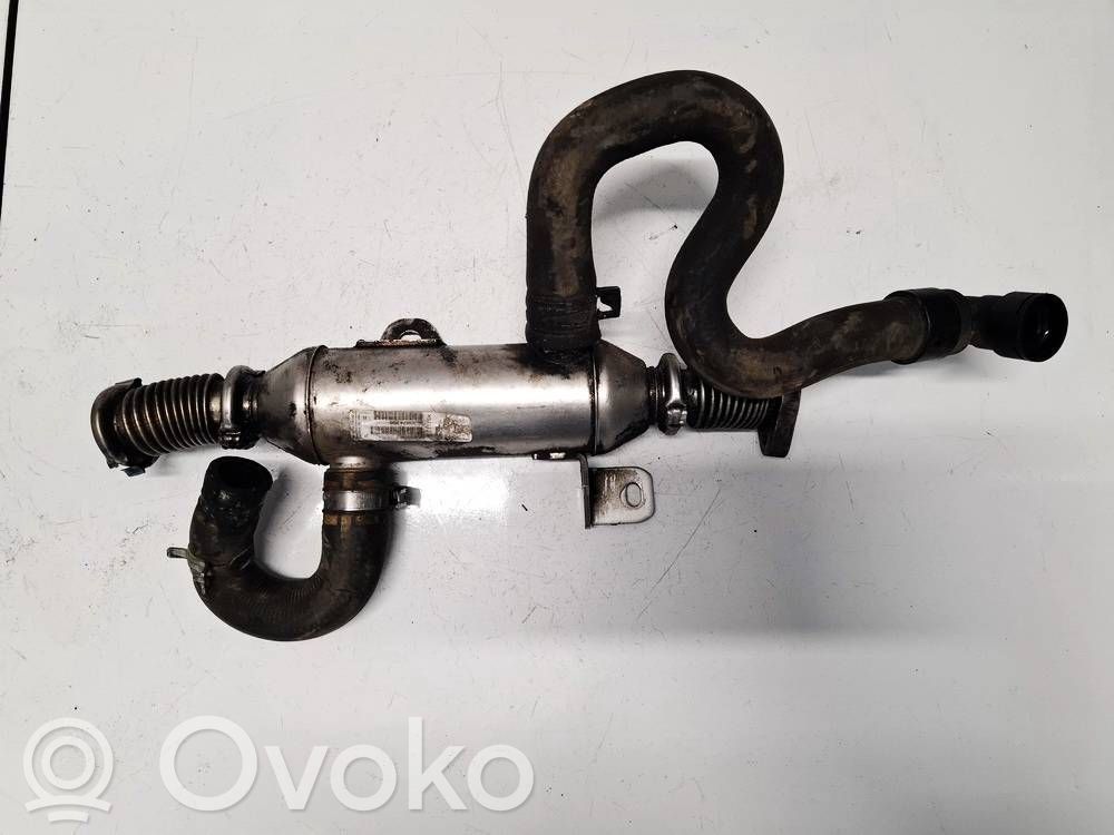 Peugeot 307 Răcitor supapă EGR 