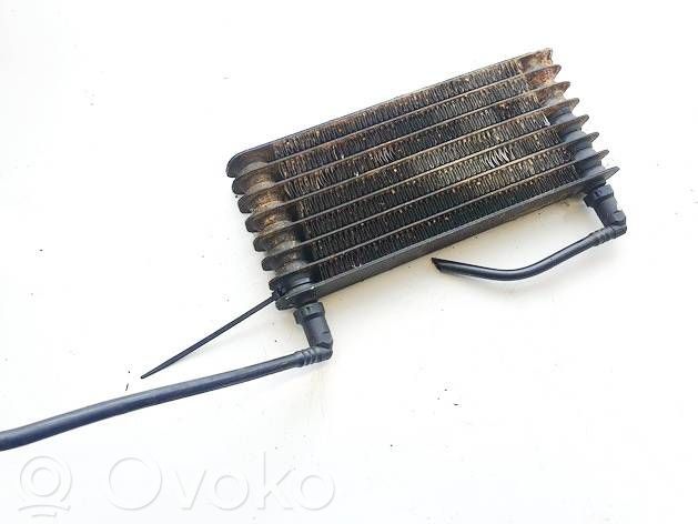 Radiatore del carburatore (radiatore)