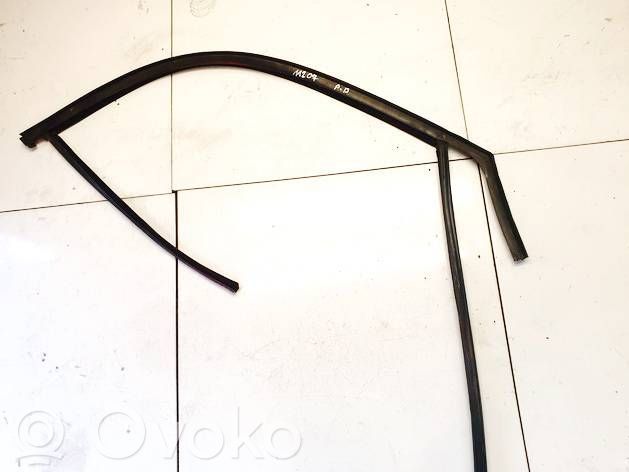 Ford Kuga I Rubber seal front coupe door 