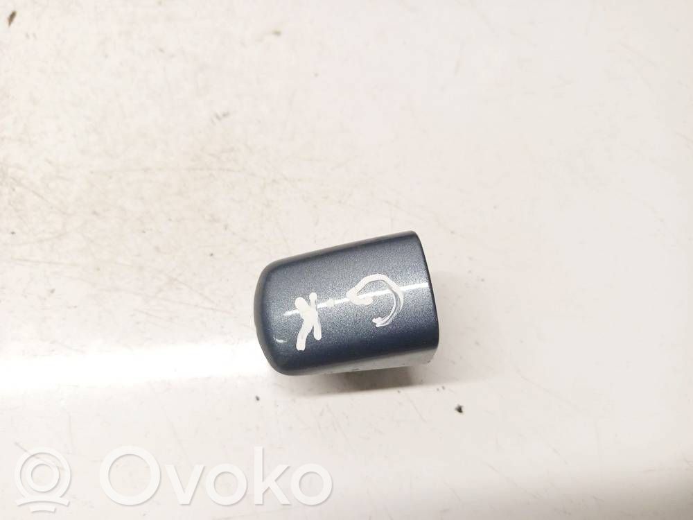 Peugeot 407 Tapa/cubierta de puerta de carga 