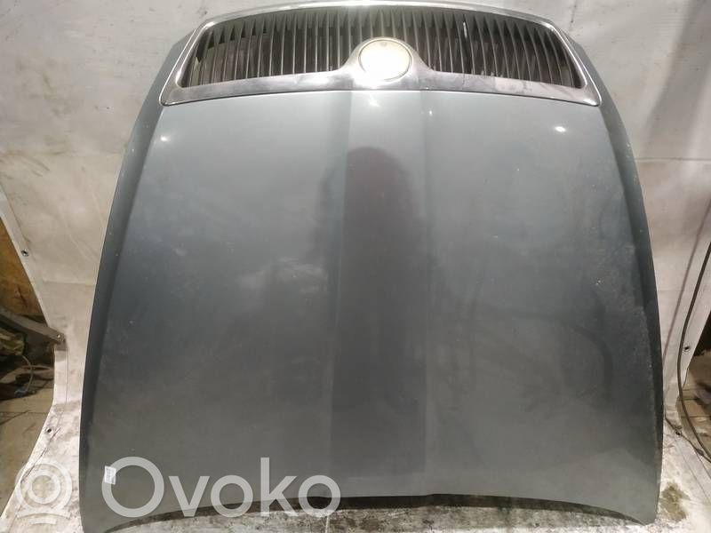 Skoda Octavia Mk2 (1Z) Couvercle, capot moteur