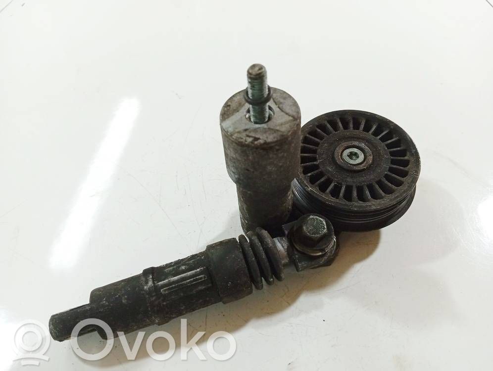 Volkswagen PASSAT B5.5 Întinzător curea generator/alternator 