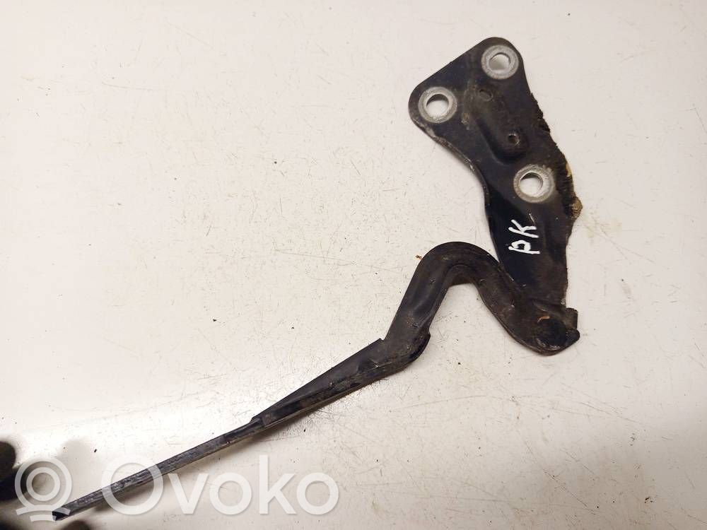 Opel Astra G Balamale capotă 
