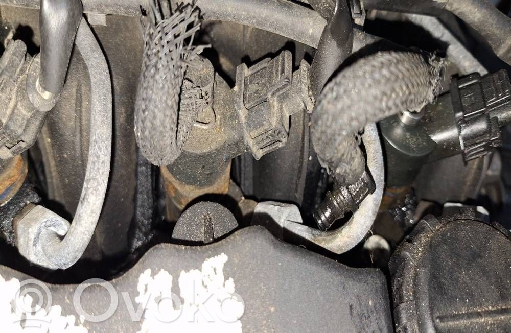 Inyector de combustible   0445110188,0445110188