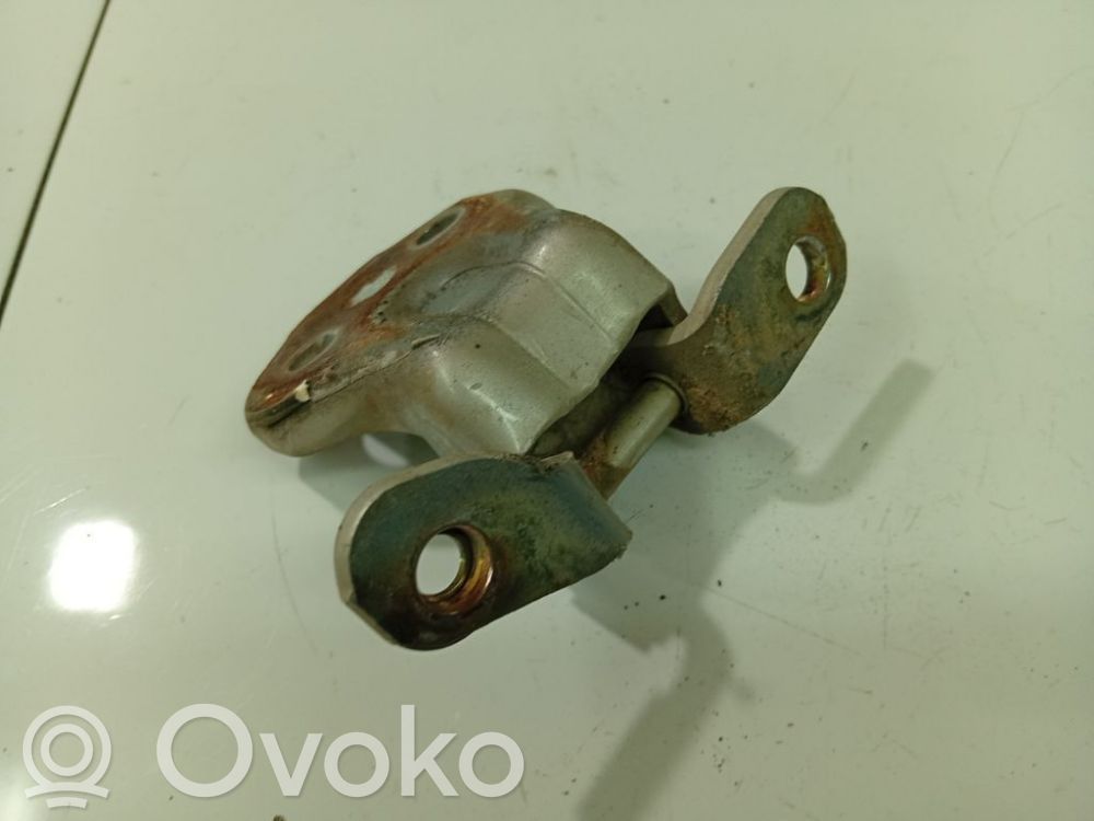 Rear door lower hinge