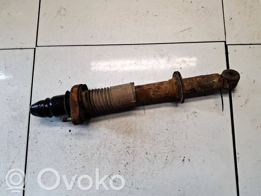 Stoßdämpfer hinten