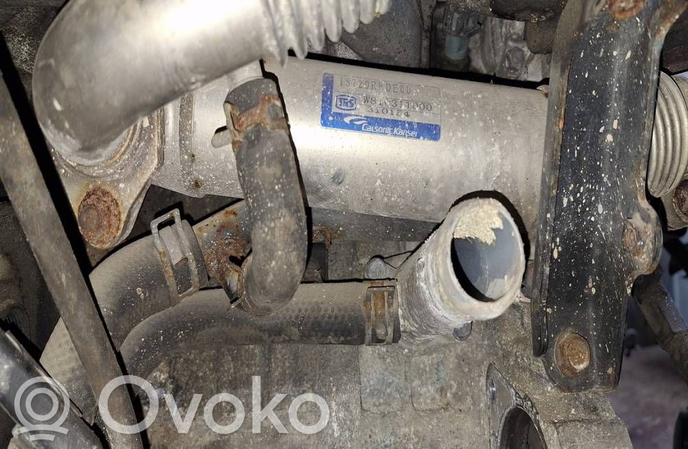 Honda Accord Valvola di raffreddamento EGR