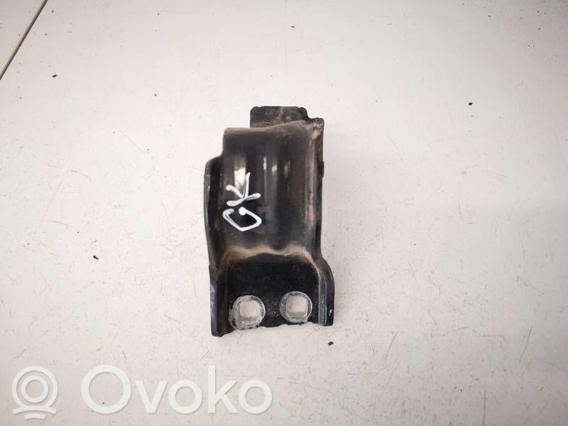 Volkswagen PASSAT B6 Cerniera portellone posteriore/bagagliaio