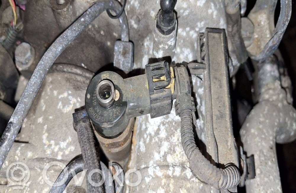 Injektor Einspritzdüse   0445110243,0445110243