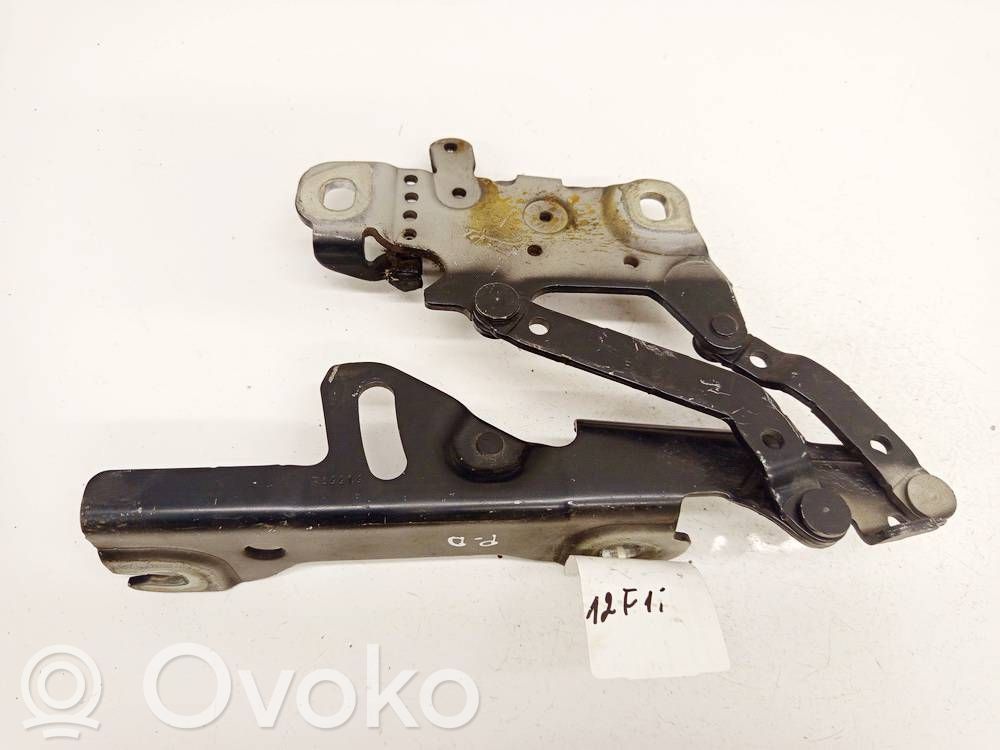 BMW 3 F30 F35 F31 Cerniere del vano motore/cofano 