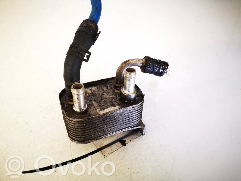 Audi Q7 4L Radiatore del carburatore (radiatore) 