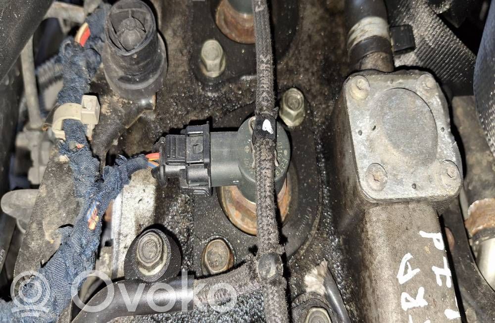 Inyector de combustible   0445110175,0445110175