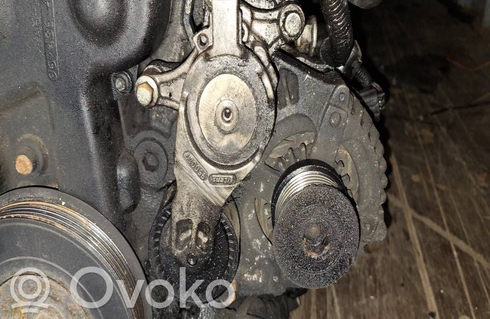 Întinzător curea generator/alternator   950007,950007