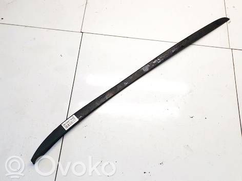 Ford Focus Ornament parbriz 