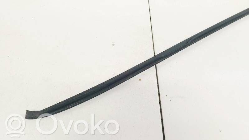 Volkswagen PASSAT B6 Ornament parbriz 