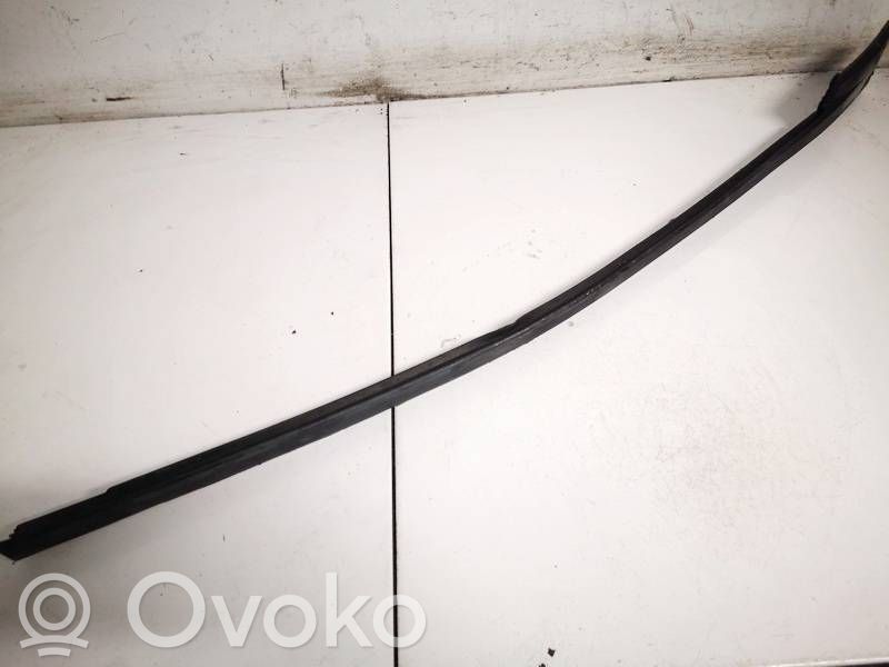 Windshield trim   05182561,05182561