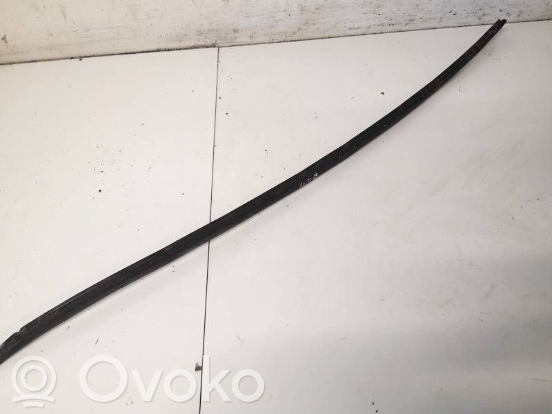 Volkswagen PASSAT B6 Ornament parbriz 