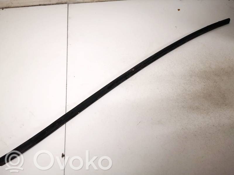 Volkswagen PASSAT B6 Ornament parbriz 