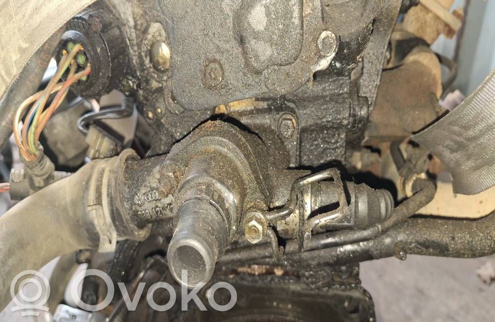 Seat Alhambra (Mk1) Tubo flessibile del liquido di raffreddamento del motore 