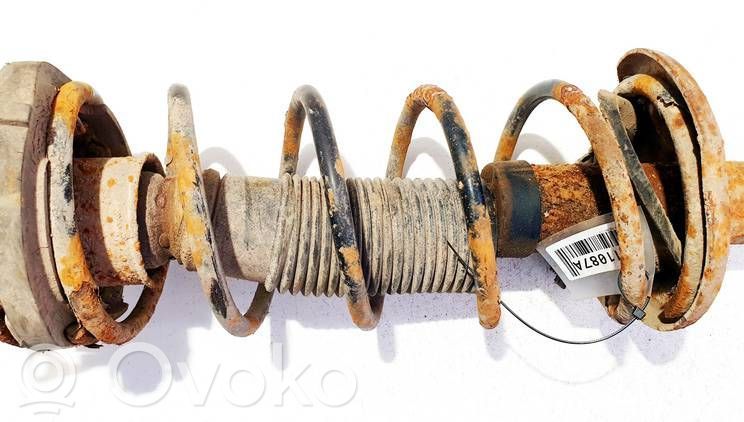 Muelle espiral trasero