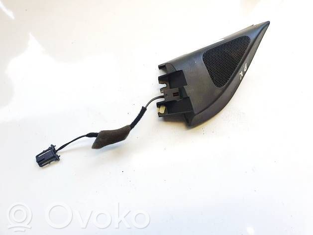 Volkswagen PASSAT B6 Difuzor ușă față 