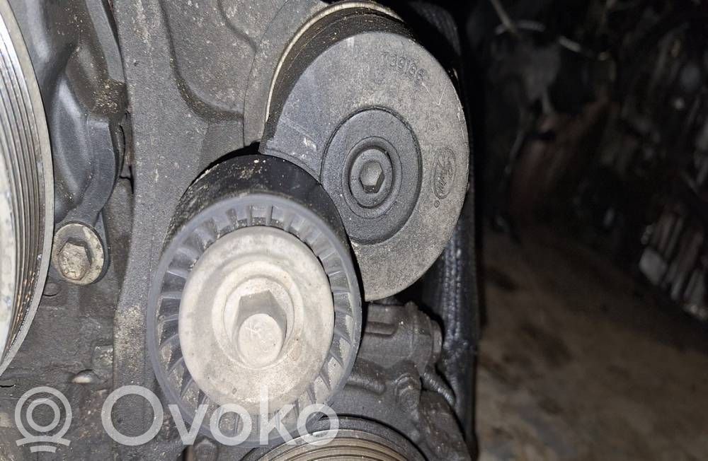 Citroen C5 Tensor de correa del alternador 