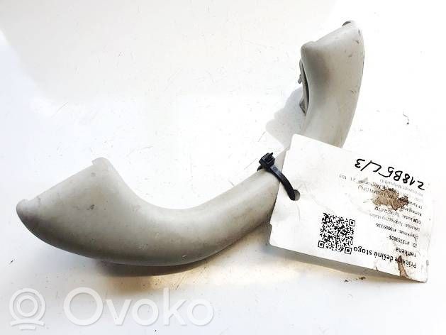Volkswagen Tiguan Maniglia interna tetto anteriore