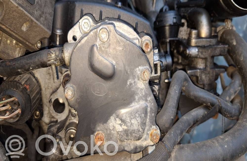 Volkswagen Golf V Pompa a vuoto 