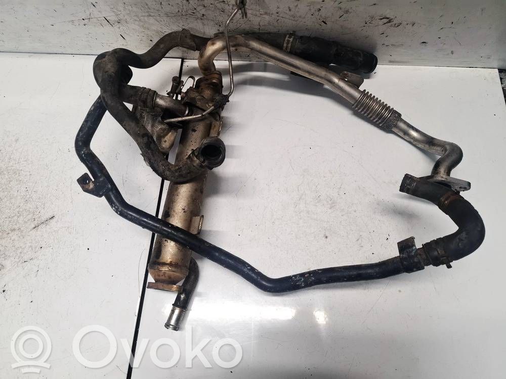 Volkswagen Golf VI Răcitor supapă EGR