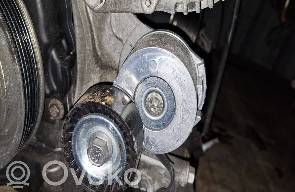 Tensor de correa del alternador   T39186,T39186