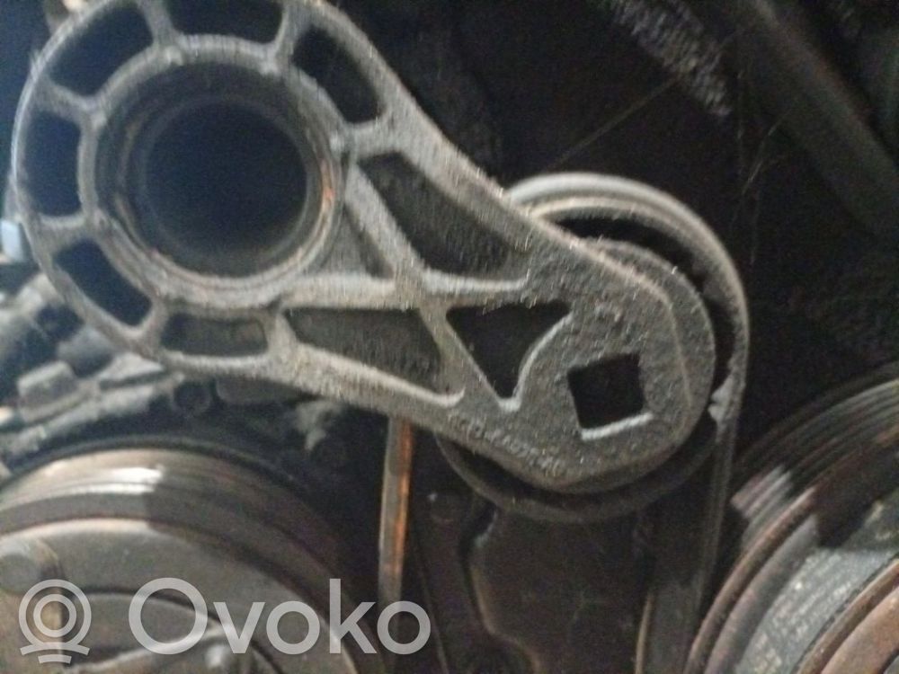 Ford Transit Napinacz paska alternatora 