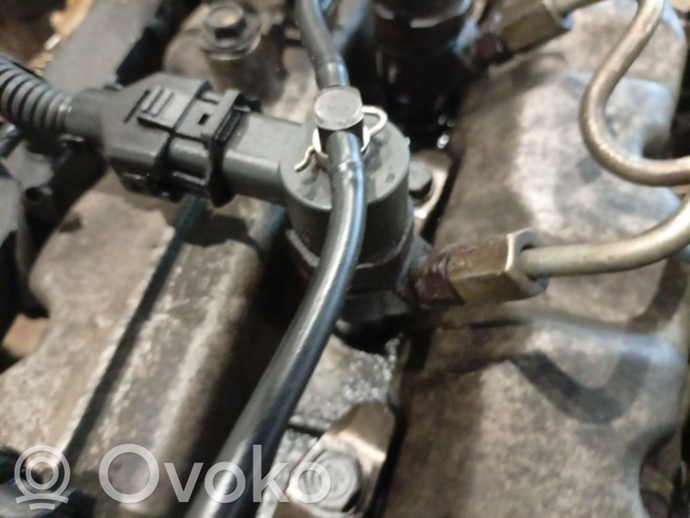 Inyector de combustible   0445110223,0445110223,0445110223