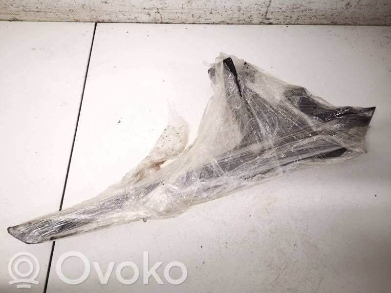 Lexus NX Other exterior part 