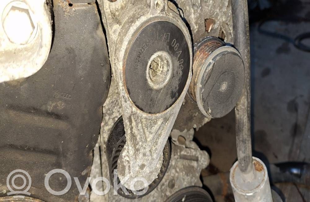 Tensor de correa del alternador   06A903315,06A903315